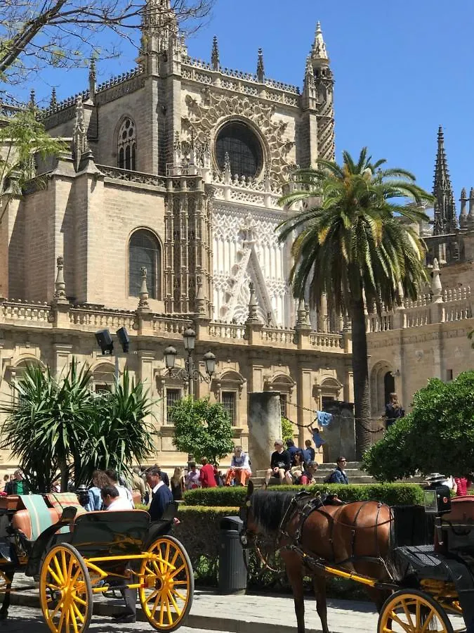 Conde Collection Gran Poder Seville